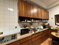 Serangoon Garden Estate (D19), Semi-Detached #461284601